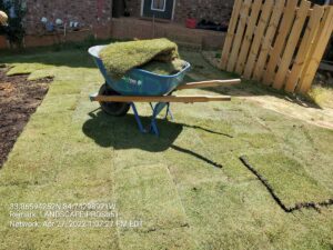 Sod Installation near me