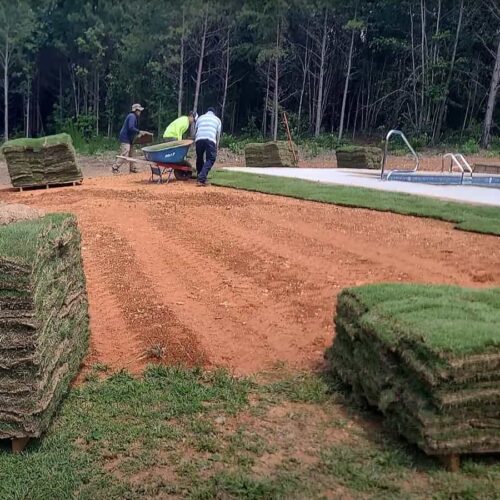 Sod Installation, Dallas, Georgia