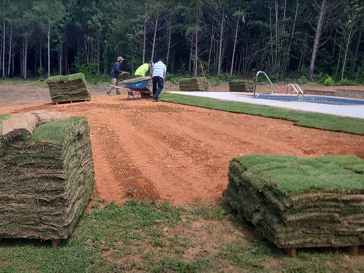 Sod Installation, Dallas, Georgia